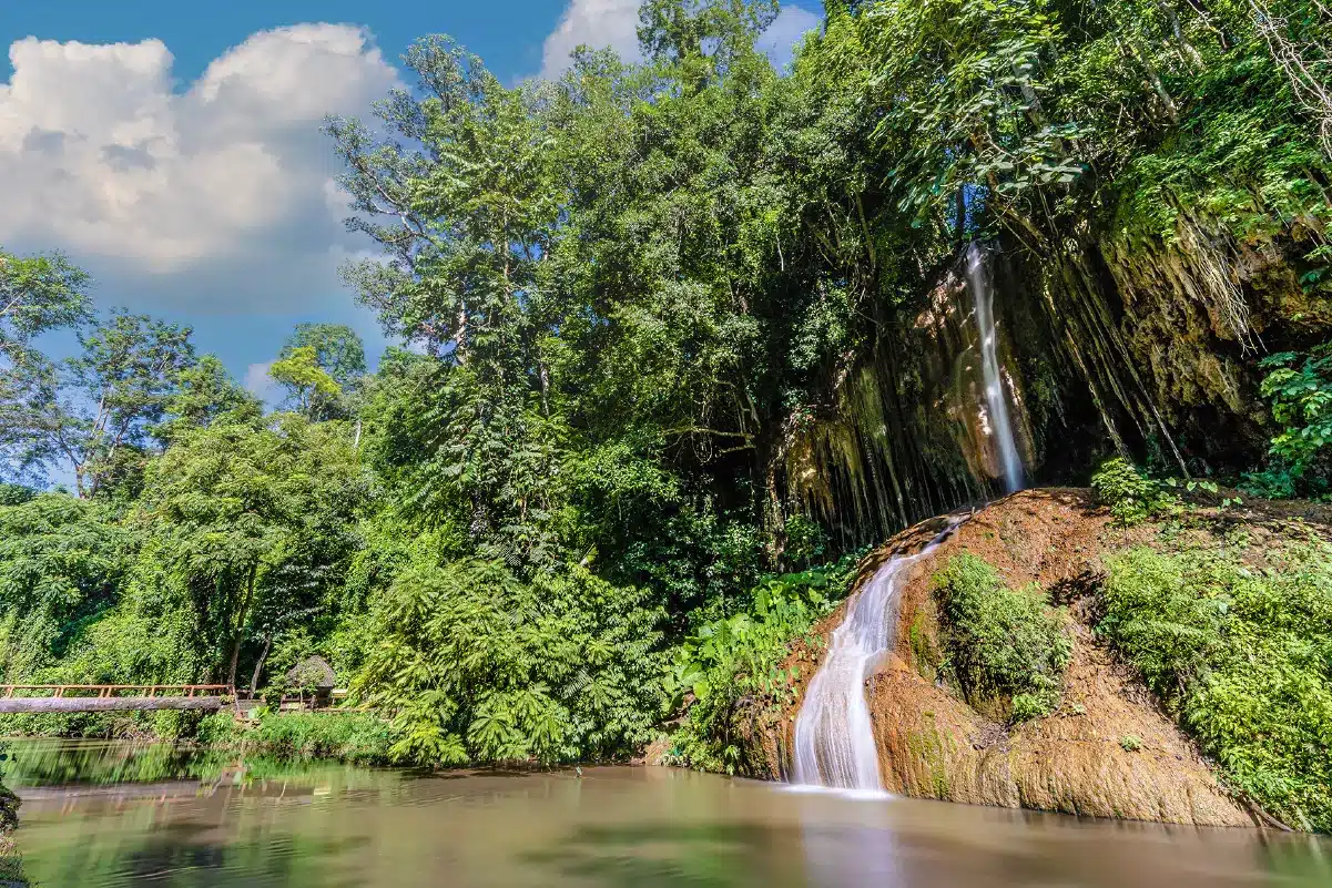 อุทยานแห่งชาติภูซาง