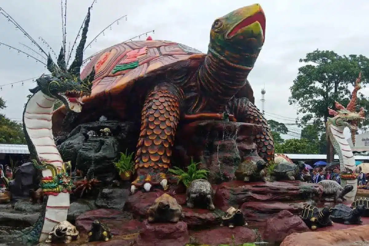 พญาเต่างอย