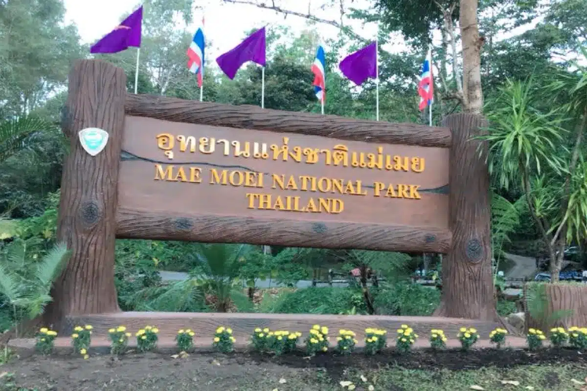 10 สถานที่ท่องเที่ยวในจังหวัดตาก ที่คุณห้ามพลาด! 3 อุทยานแห่งชาติแม่เมย