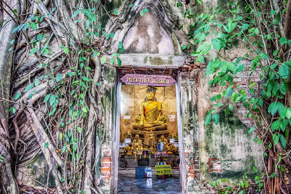 ค่ายบางกุ้ง