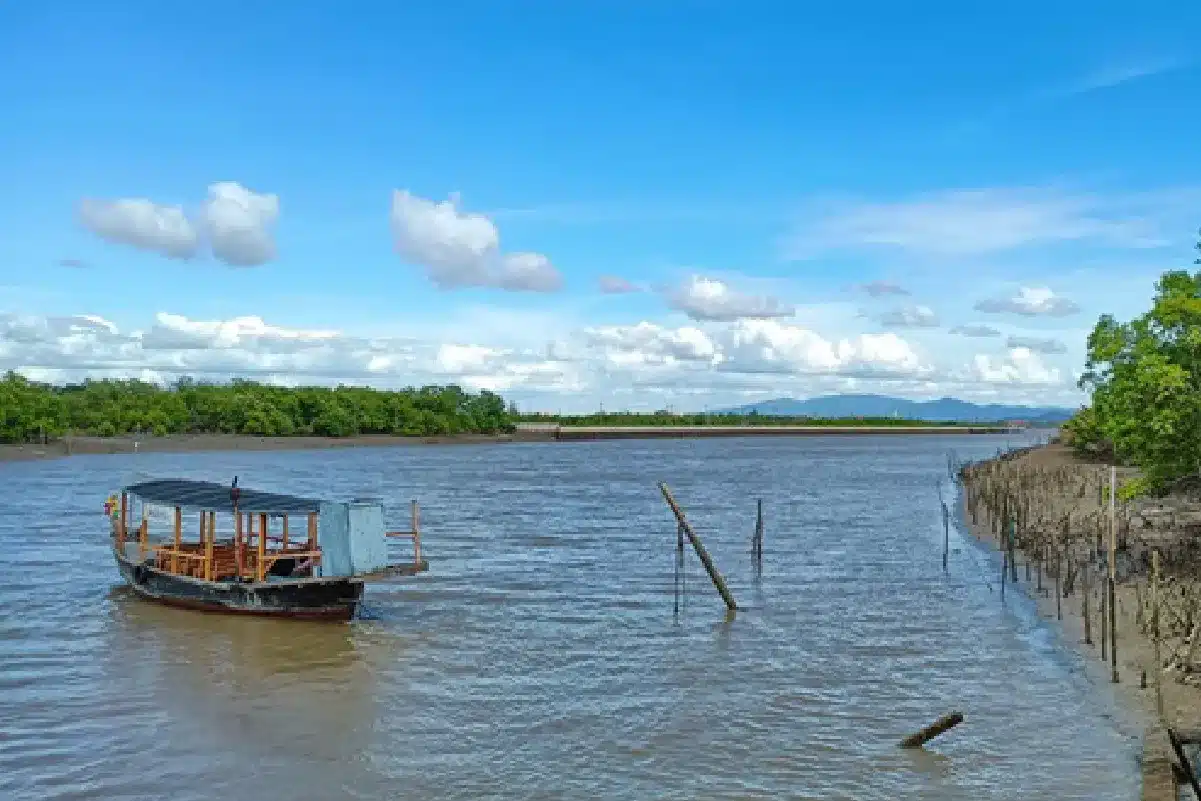 เกาะนก