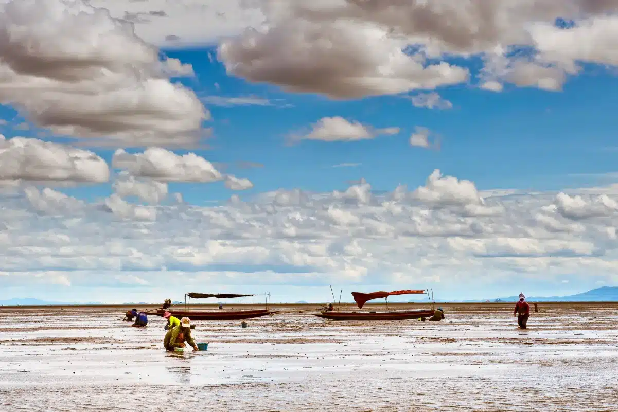 ดอนหอยหลอด