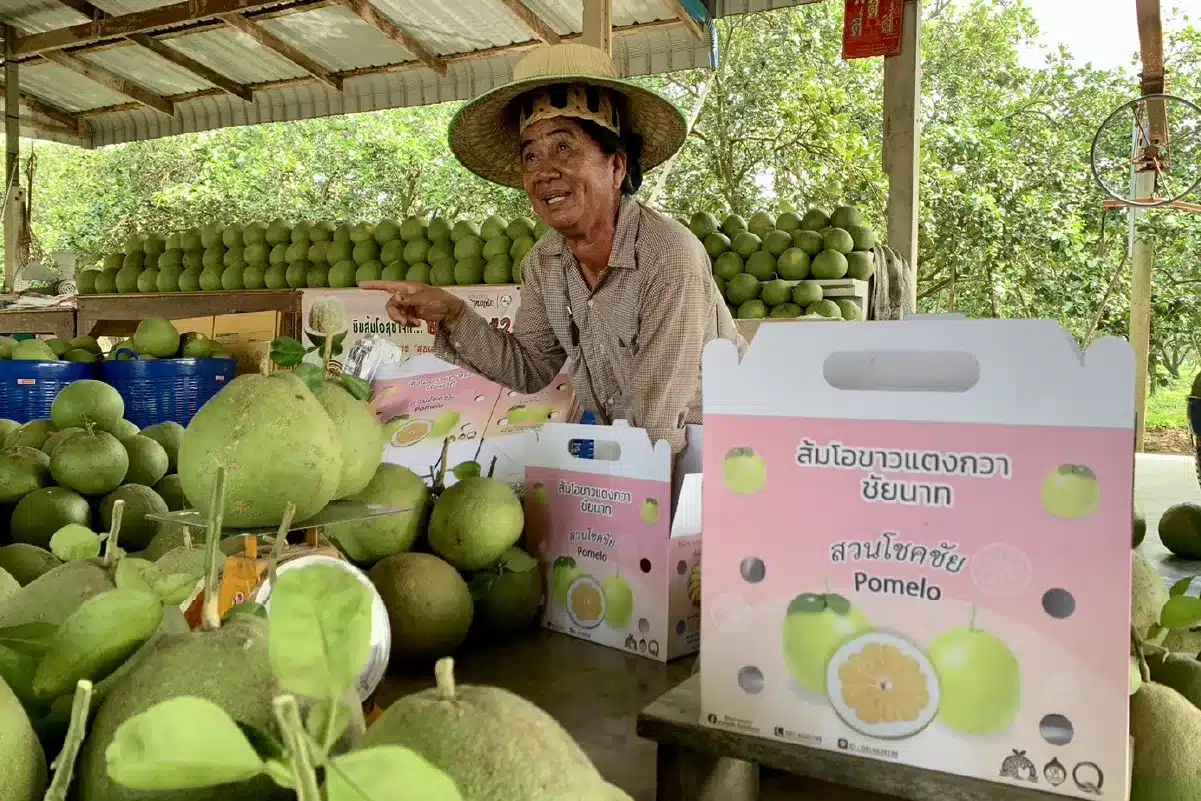 10 สถานที่ท่องเที่ยวห้ามพลาดในจังหวัดชัยนาท ที่แนะนำว่าคุณต้องไป 8 สวนส้มโอโชคชัย