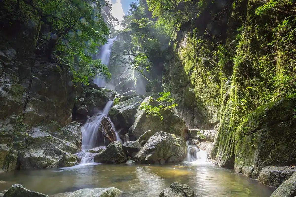 10 สถานที่ท่องเที่ยวในจังหวัดปัตตานี ที่คุณห้ามพลาด! 8 อุทยานแห่งชาติน้ำตกทรายขาว