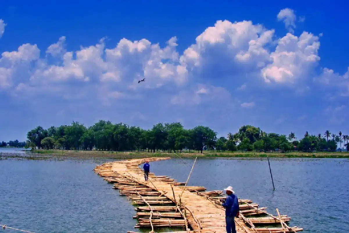 10 สถานที่ท่องเที่ยวห้ามพลาดในจังหวัดชัยนาท ที่แนะนำว่าคุณต้องไป 9 บึงกระจับใหญ่