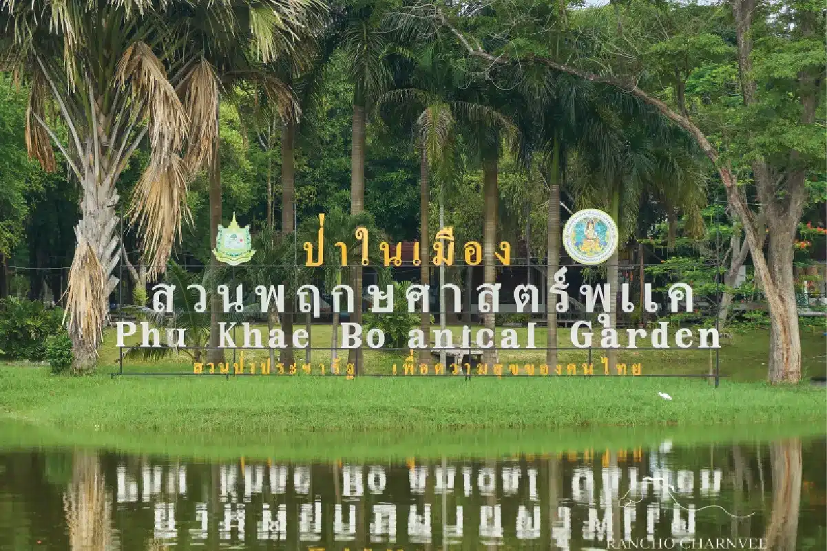 สวนพฤกษศาสตร์พุแค