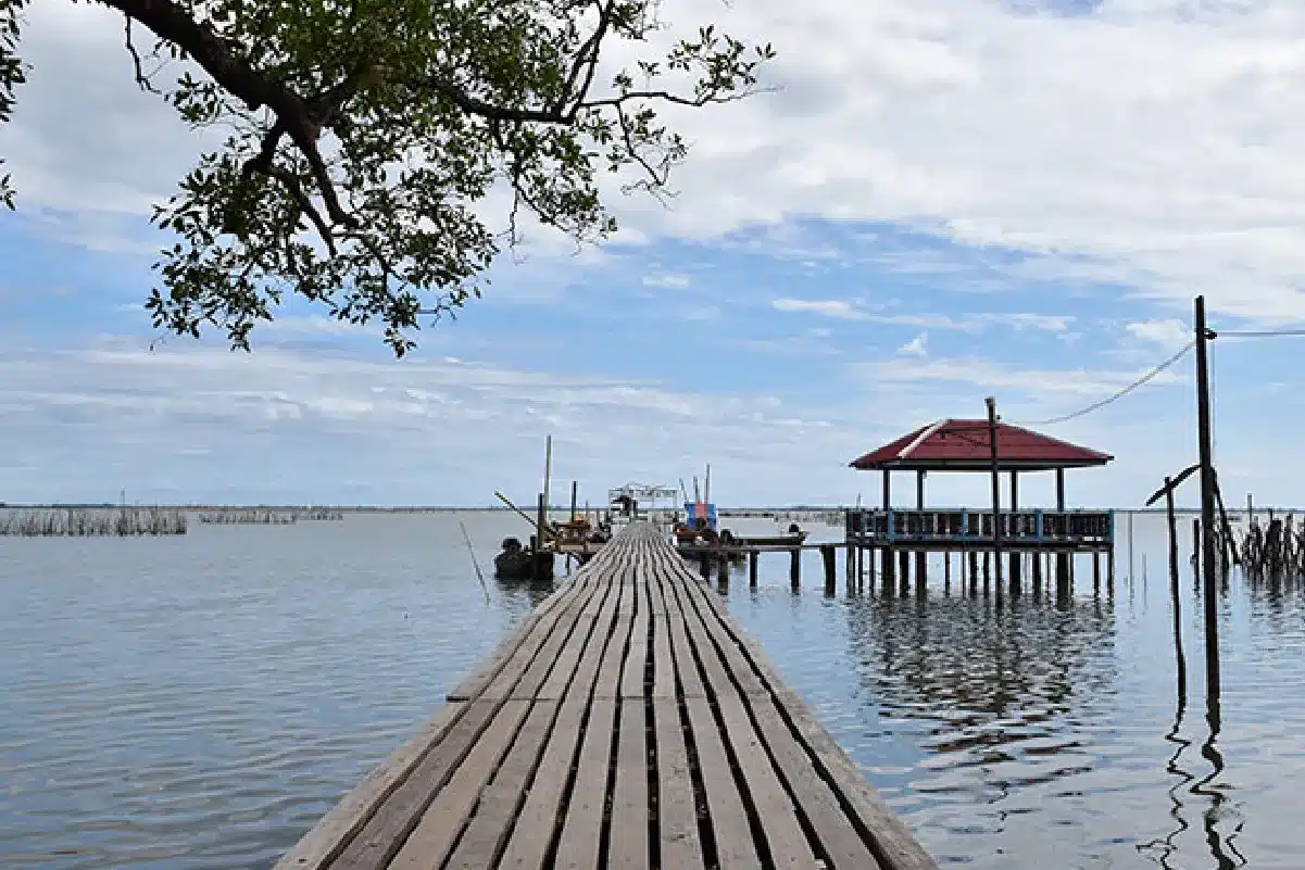 10 สถานที่ท่องเที่ยวในจังหวัดปัตตานี ที่คุณห้ามพลาด! 9 สะพานไม้บานา