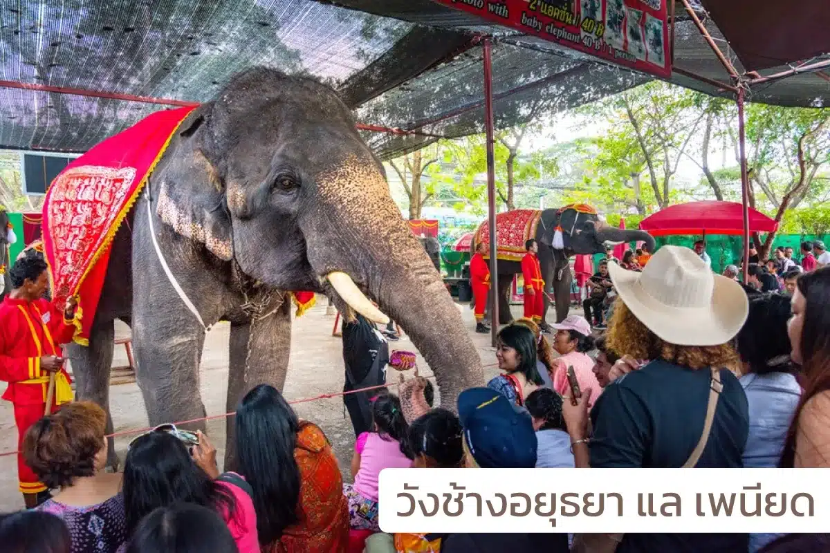 10 สถานที่ท่องเที่ยวในอยุธยา ที่คุณไม่ควรพลาด 8 Tourist attractions in Ayutthaya 9