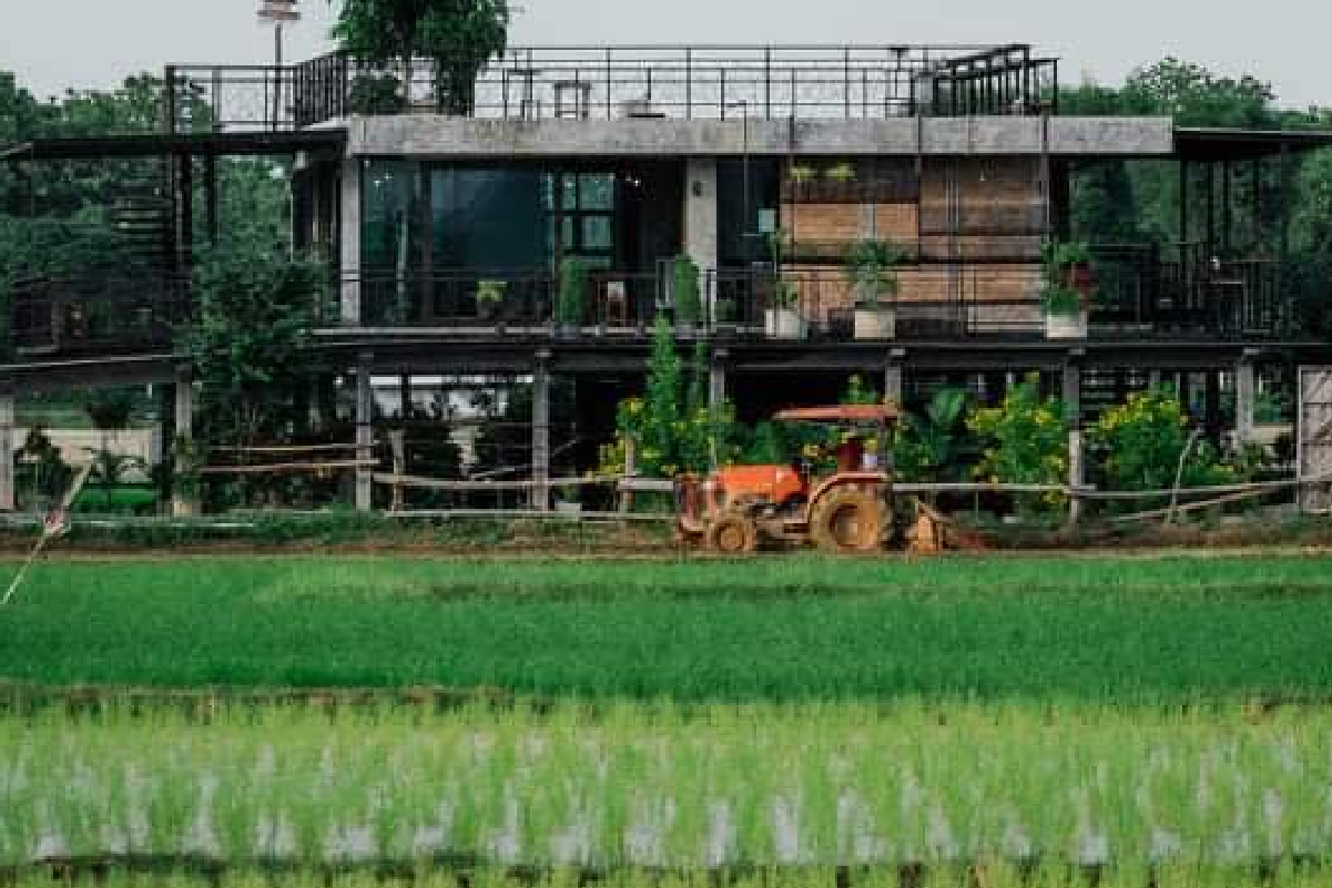 ก๋างต้ง Kang-Tong