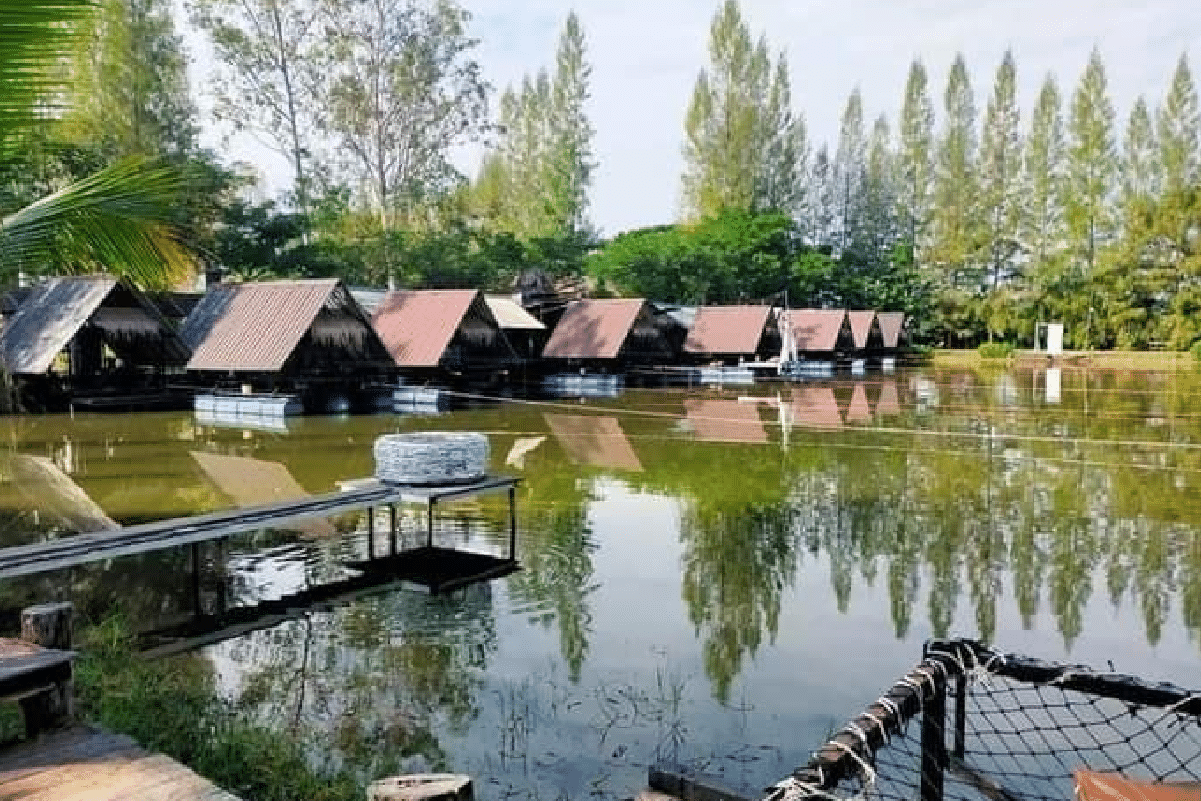 แพไฮคลาส