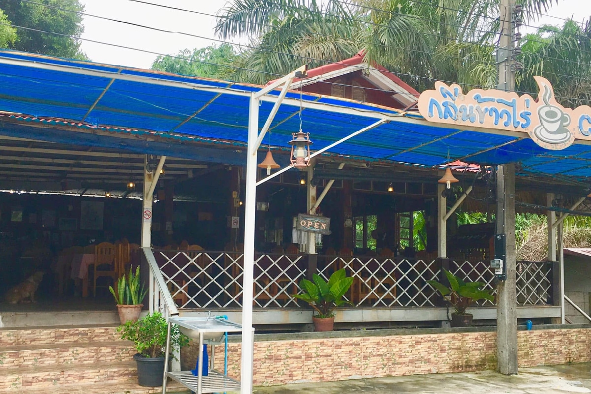 กลิ่นข้าวไร่