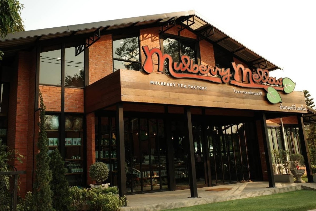 มัลเบอร์รี่ เมลโล่ Mulberry Mellow