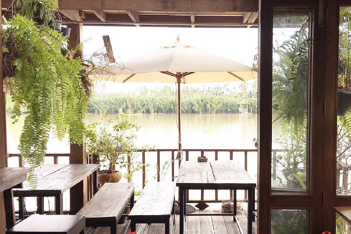 Red Cat Cafe