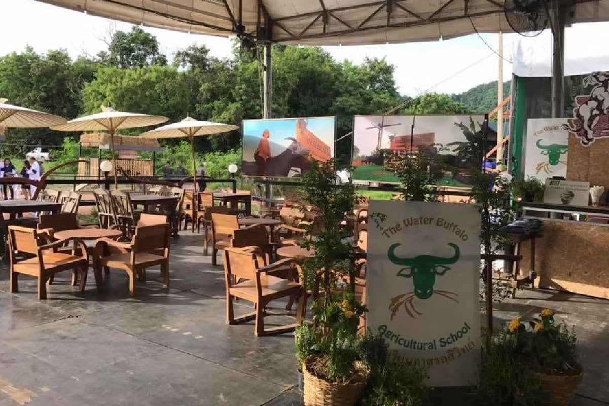 กาแฟควายคะนอง